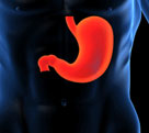 GASTROLOG